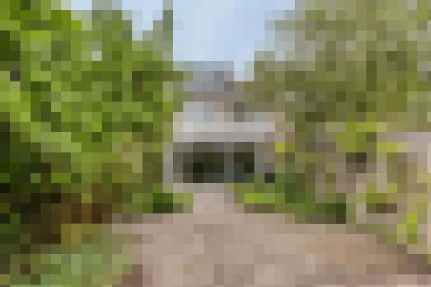 Elzengaard 57 Goirle thumbnail 46