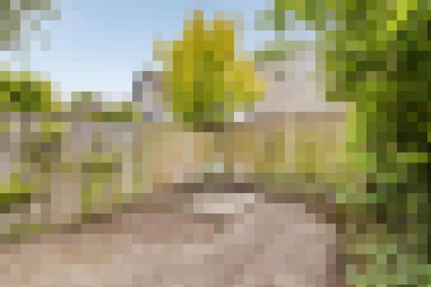 Elzengaard 57 Goirle thumbnail 48