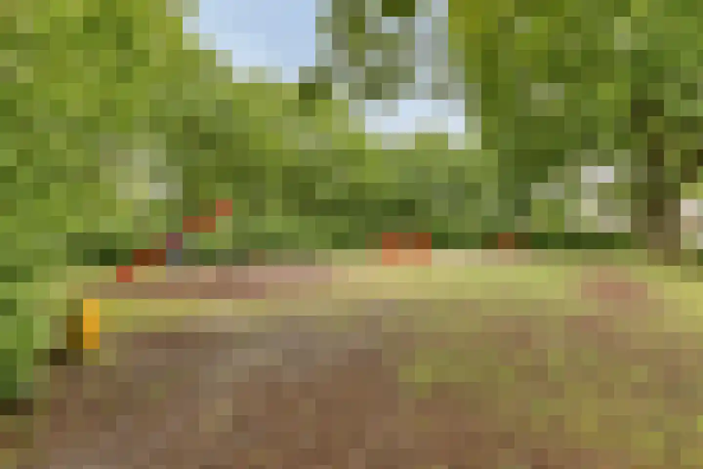 Elzengaard 57 Goirle thumbnail 50