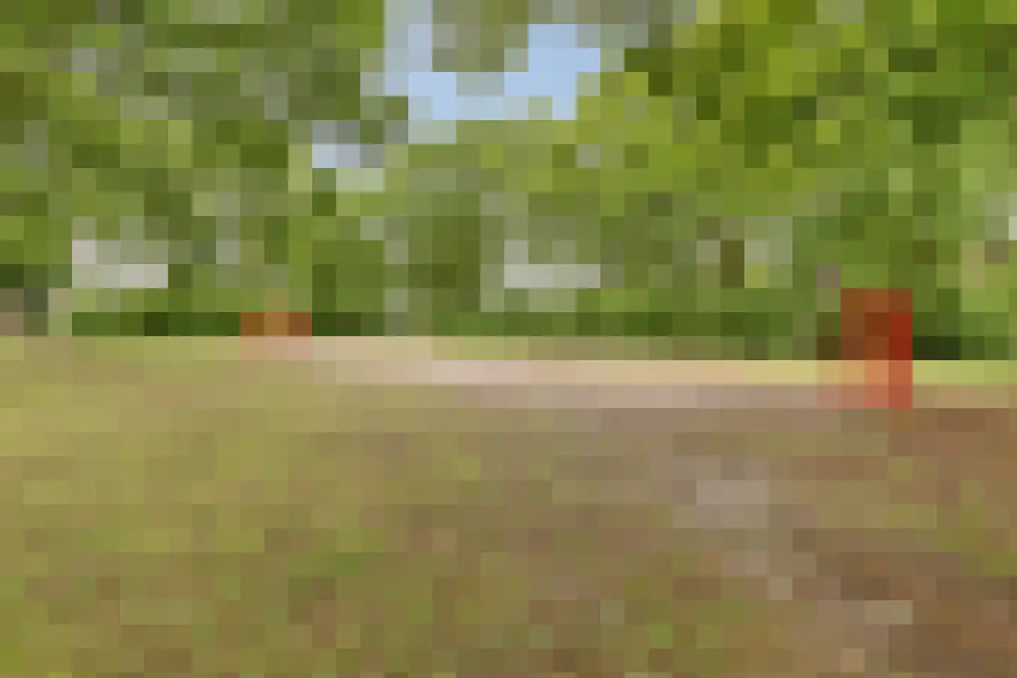 Elzengaard 57 Goirle thumbnail 51