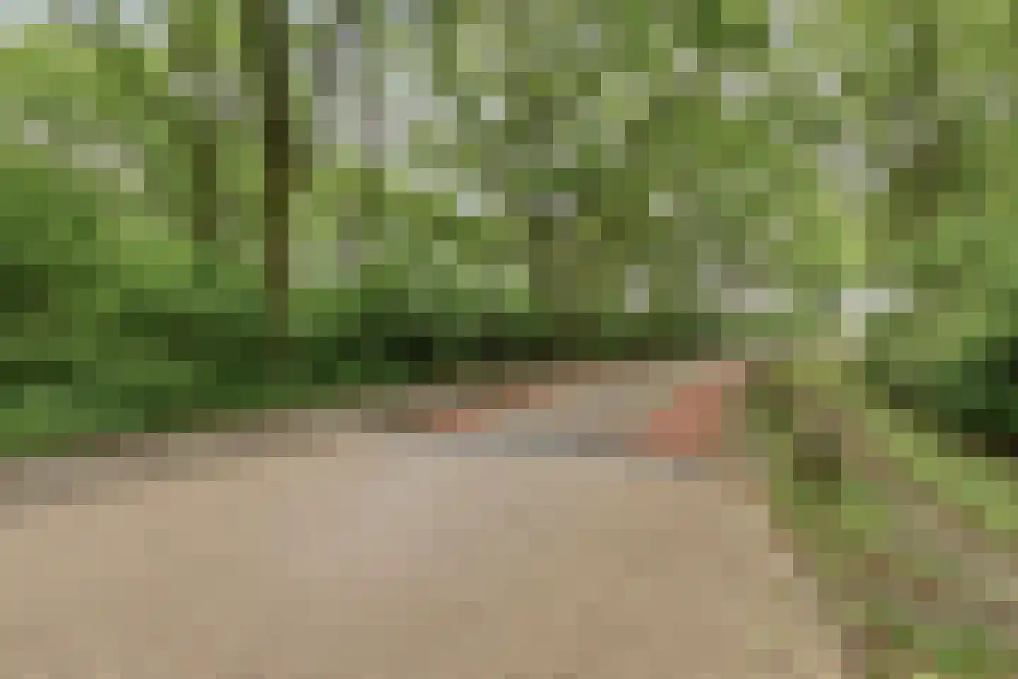 Elzengaard 57 Goirle thumbnail 53