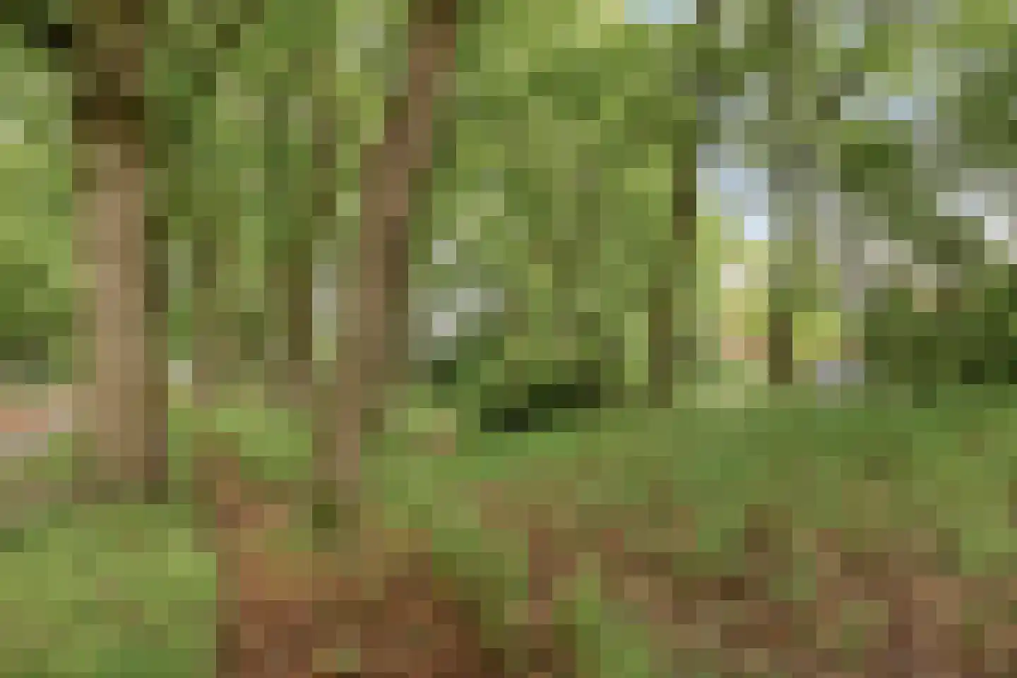 Elzengaard 57 Goirle thumbnail 54