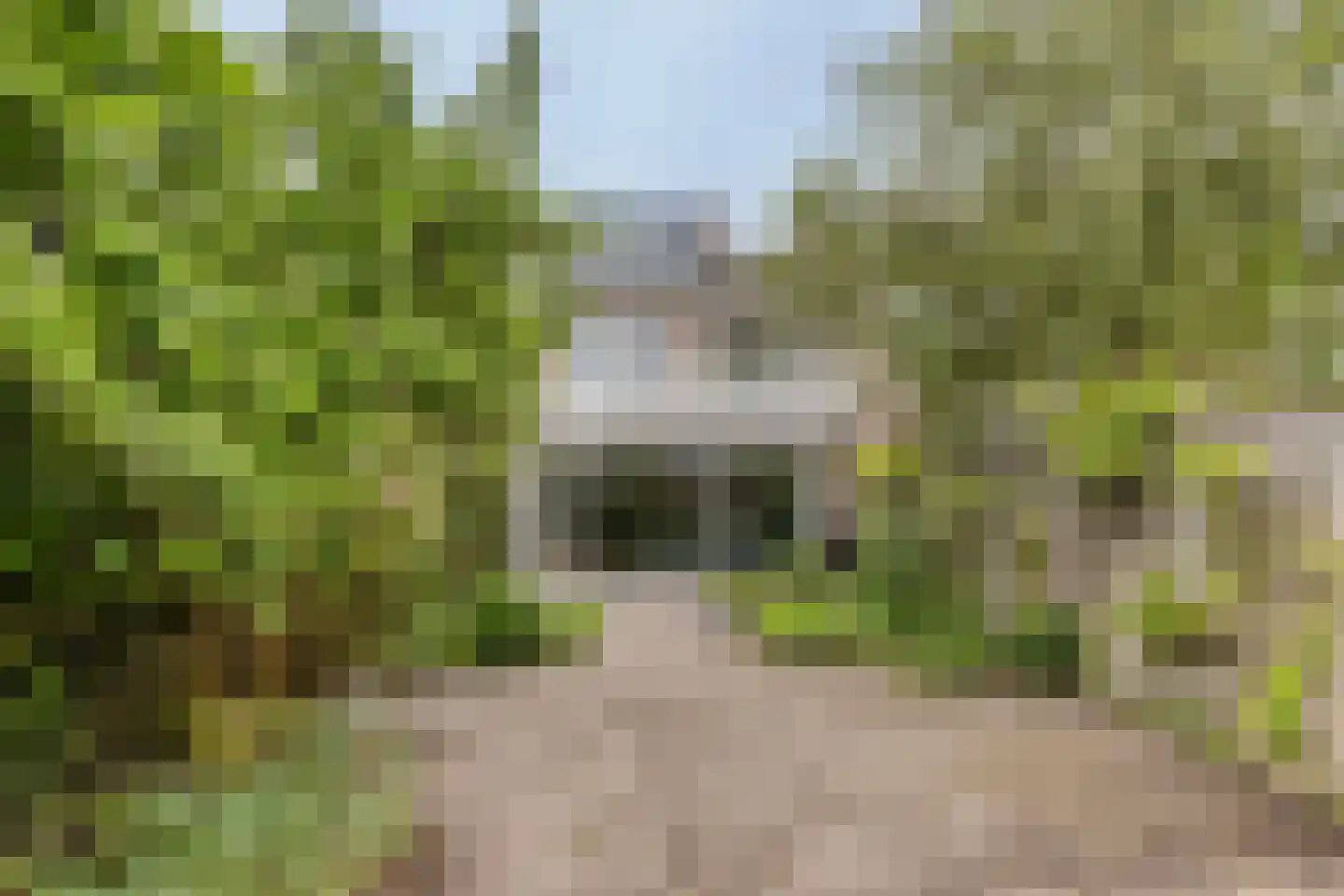 Elzengaard 57 Goirle thumbnail 9