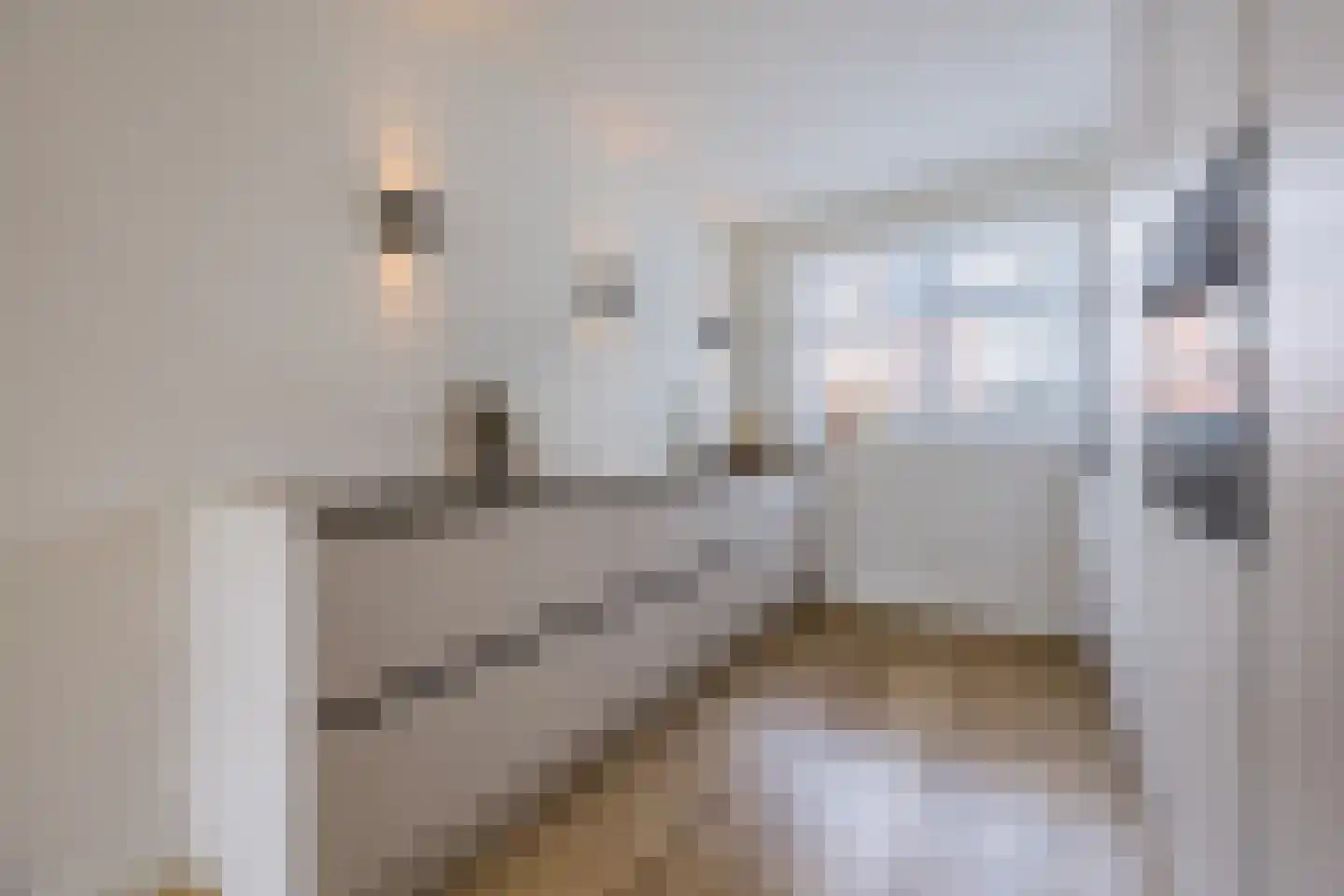 Elzengaarde 21 Hendrik-Ido-Ambacht thumbnail 11