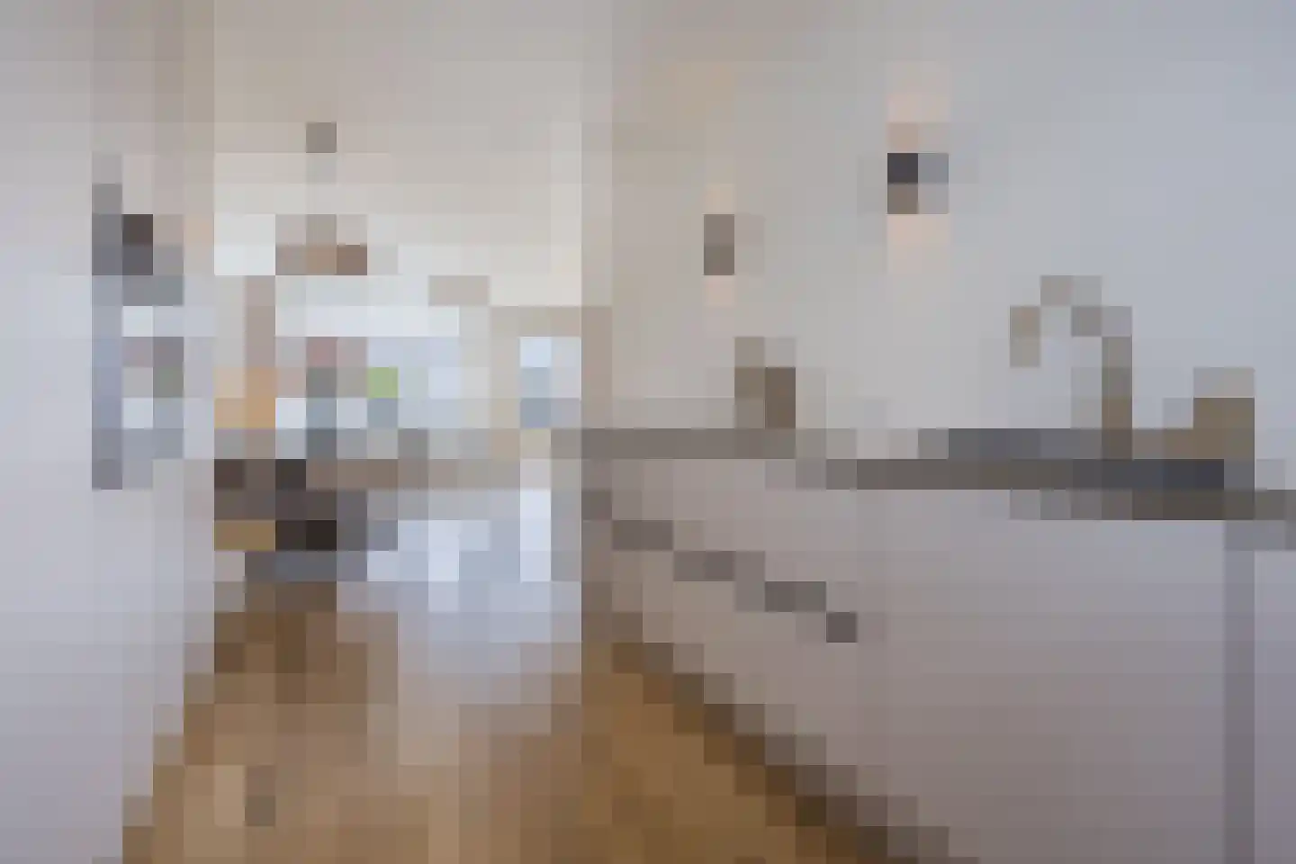 Elzengaarde 21 Hendrik-Ido-Ambacht thumbnail 13