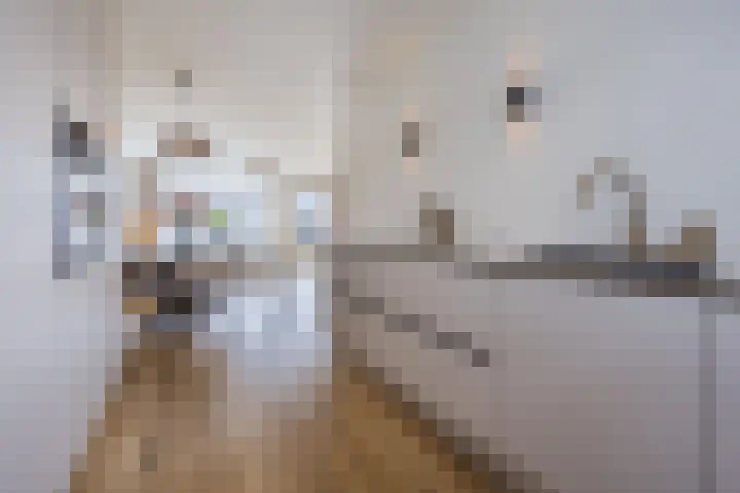 Elzengaarde 21 Hendrik-Ido-Ambacht thumbnail 13