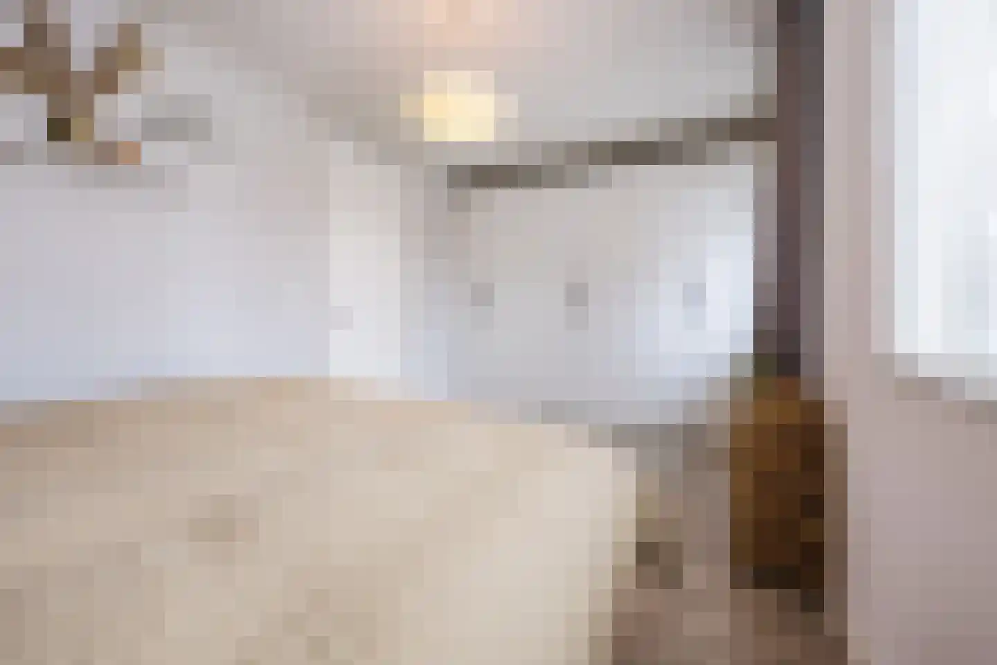 Elzengaarde 21 Hendrik-Ido-Ambacht thumbnail 17