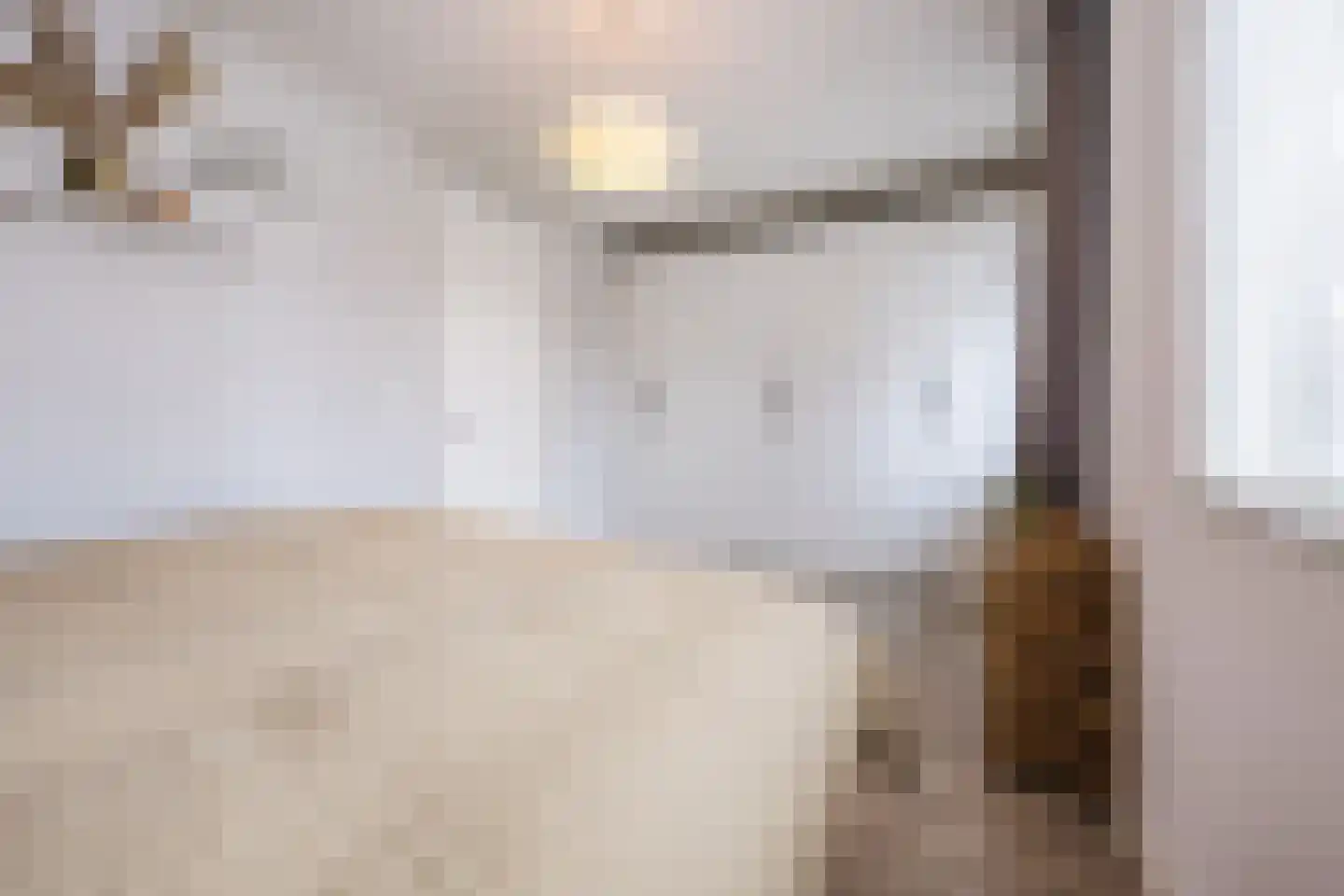Elzengaarde 21 Hendrik-Ido-Ambacht thumbnail 17