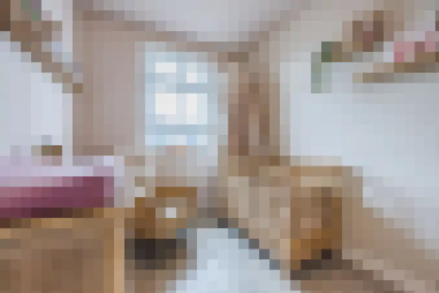 Elzengaarde 21 Hendrik-Ido-Ambacht thumbnail 18