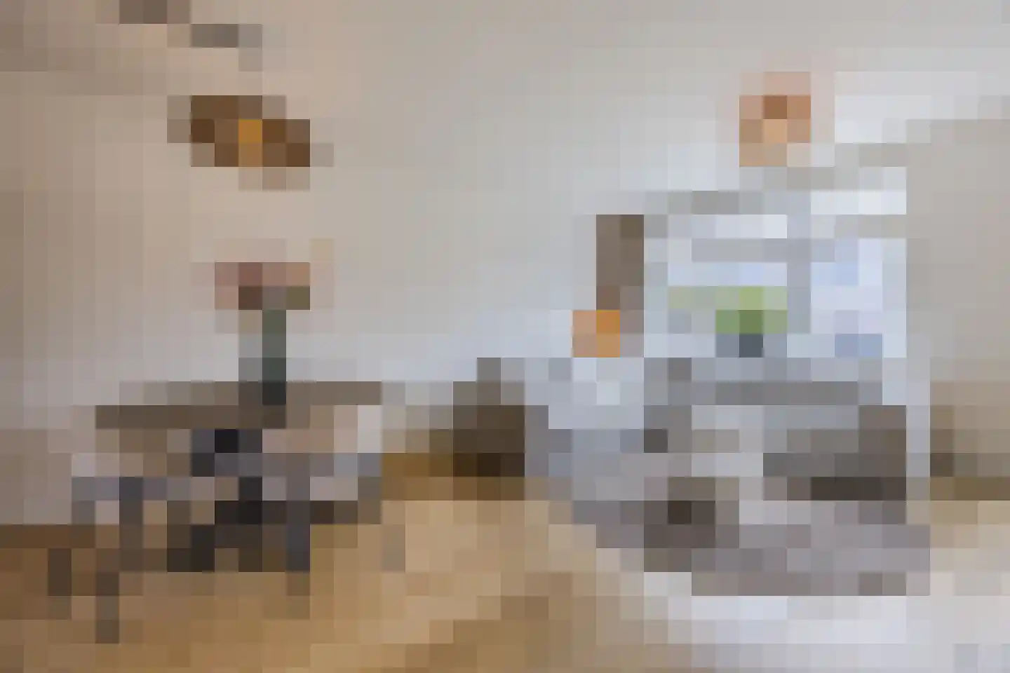 Elzengaarde 21 Hendrik-Ido-Ambacht thumbnail 8
