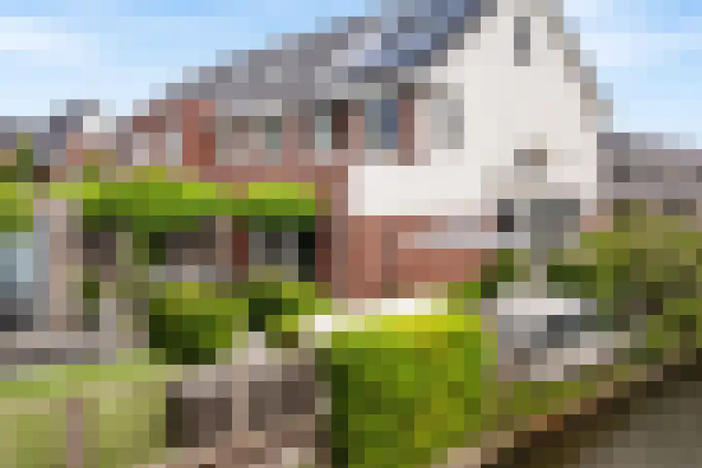 Elzengaarde 78 Hendrik-Ido-Ambacht thumbnail 10