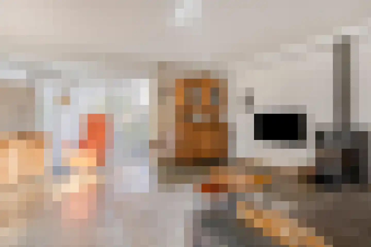 Elzenhage 1 A Meppel thumbnail 10