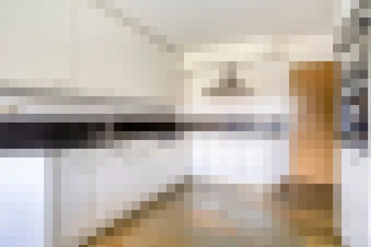 Elzenhage 1 A Meppel thumbnail 14