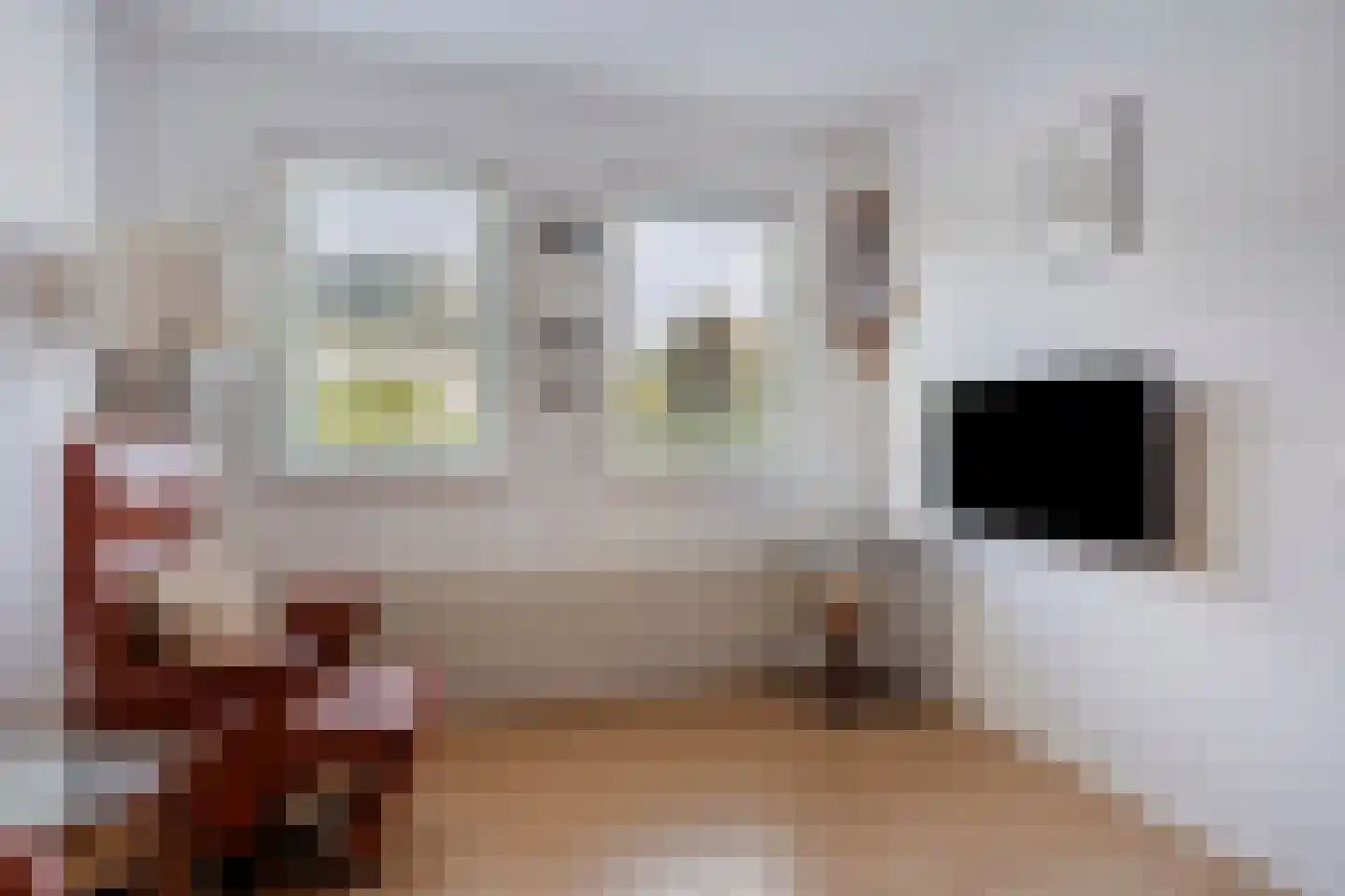 Elzenhage 1 A Meppel thumbnail 20