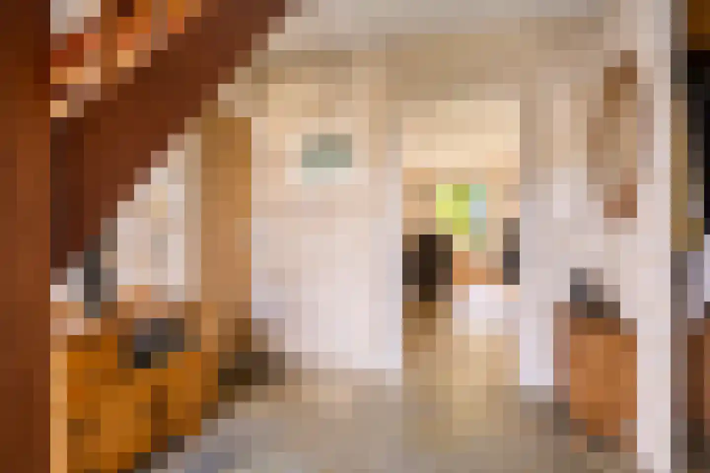Elzenhage 1 A Meppel thumbnail 21