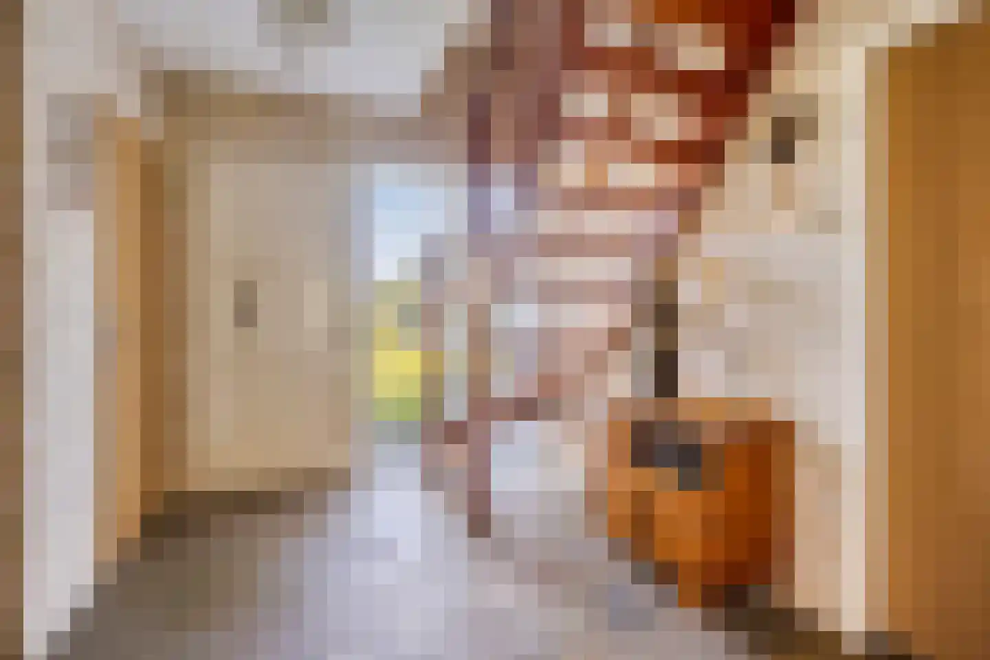 Elzenhage 1 A Meppel thumbnail 22
