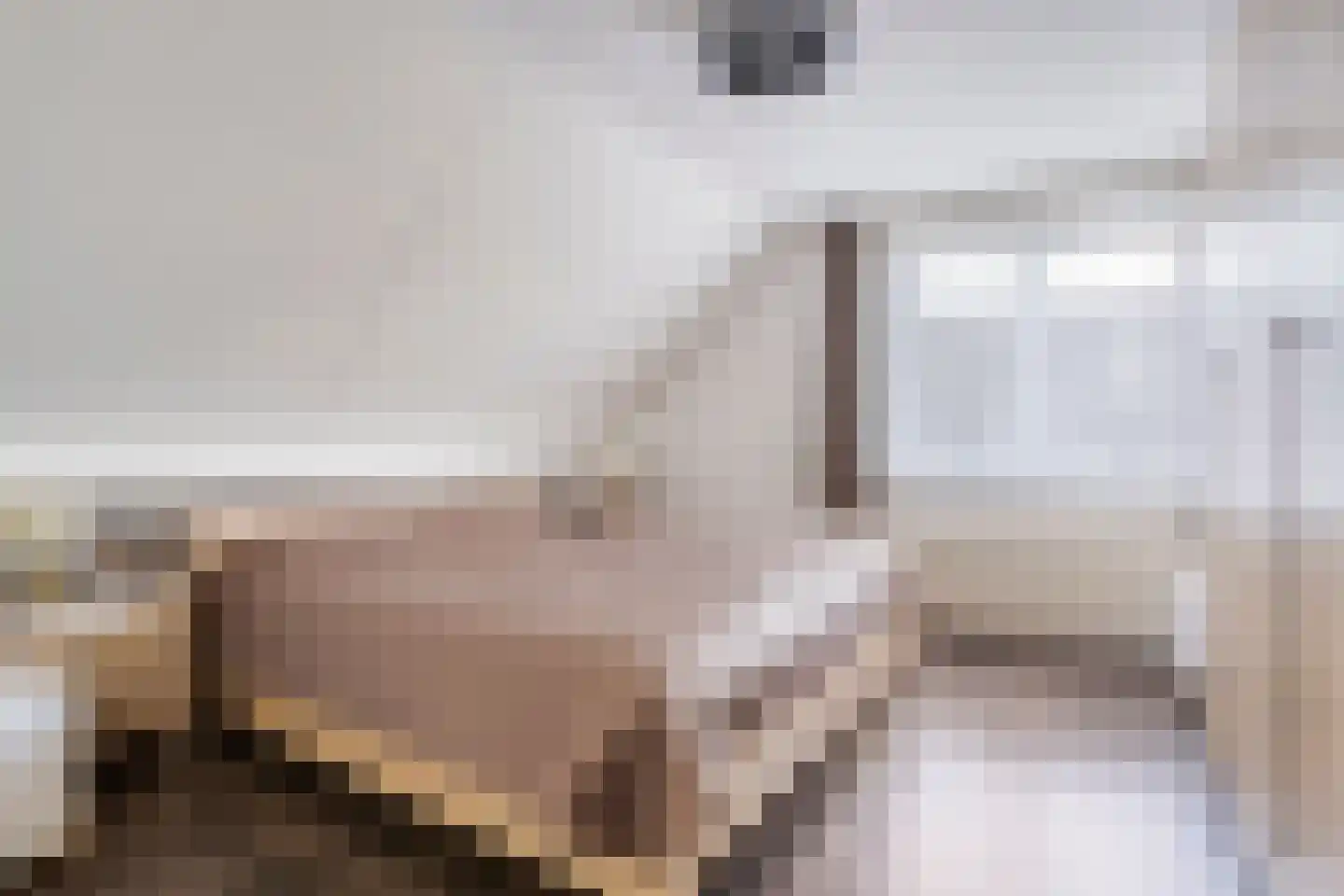 Elzenhage 1 A Meppel thumbnail 25