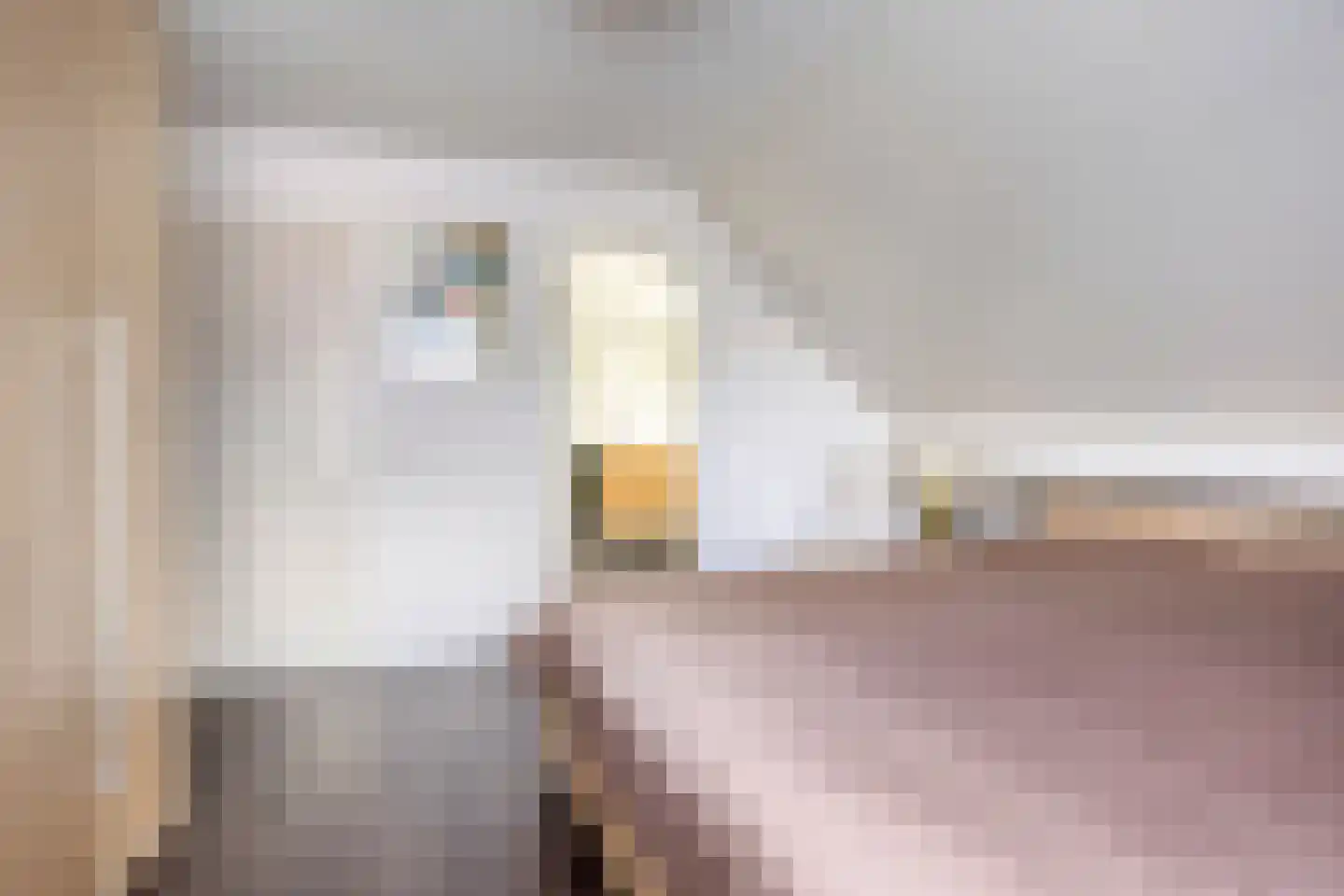 Elzenhage 1 A Meppel thumbnail 26