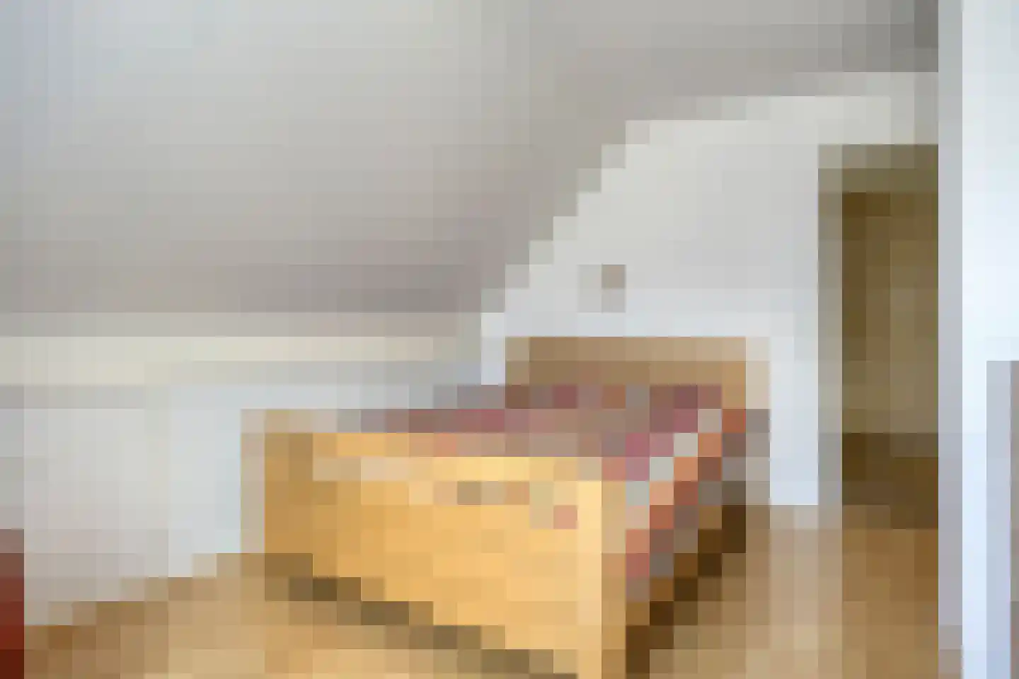 Elzenhage 1 A Meppel thumbnail 30