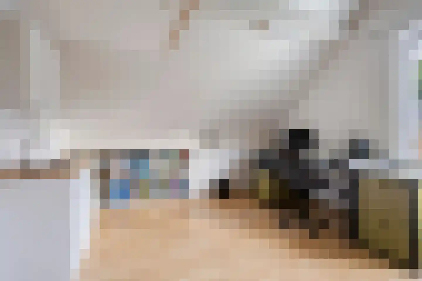 Elzenhage 1 A Meppel thumbnail 34