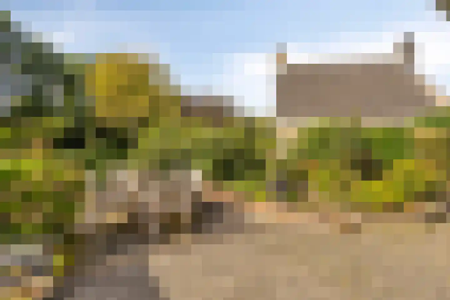 Elzenhage 1 A Meppel thumbnail 42