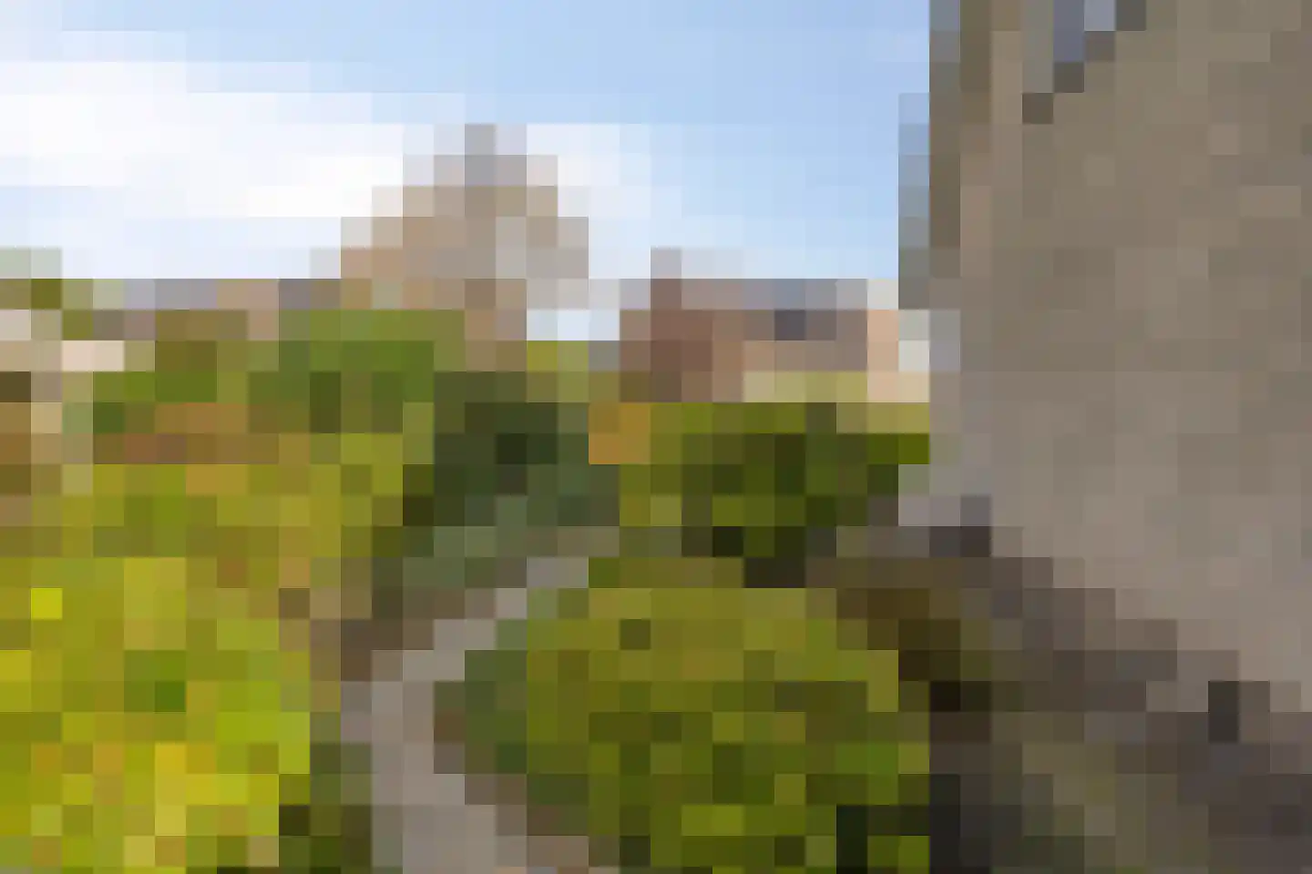 Elzenhage 1 A Meppel thumbnail 44