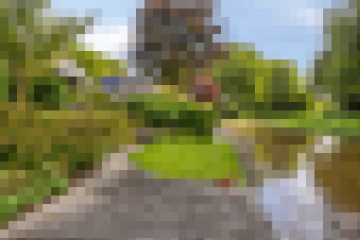 Elzenhage 1 A Meppel thumbnail 46