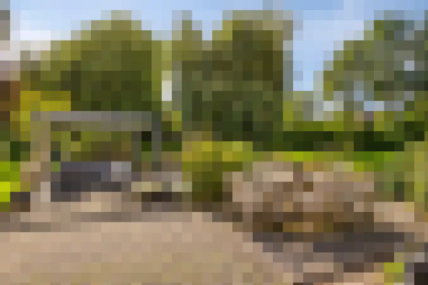 Elzenhage 1 A Meppel thumbnail 5