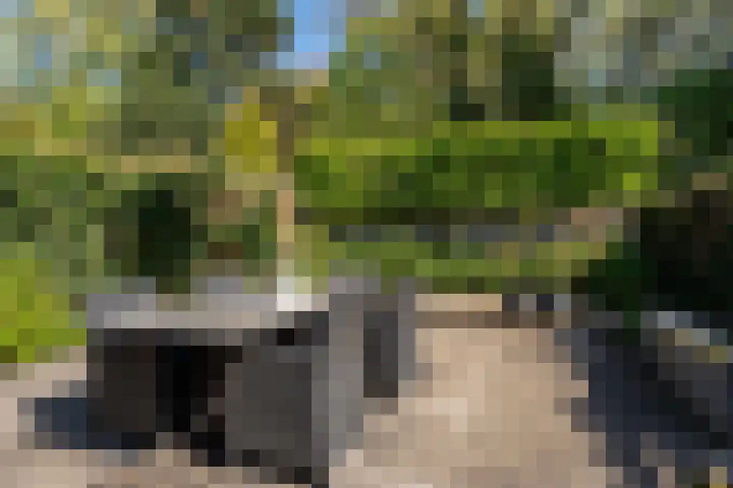 Elzenhage 53 Stadskanaal thumbnail 36
