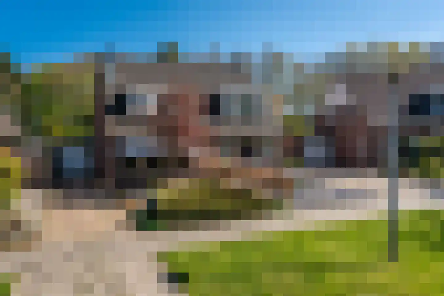 Elzenhage 53 Stadskanaal thumbnail 40