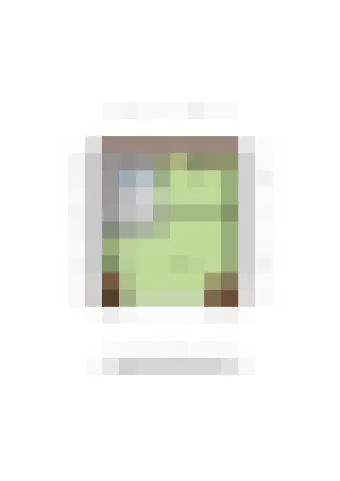 Elzenhage 53 Stadskanaal thumbnail 42