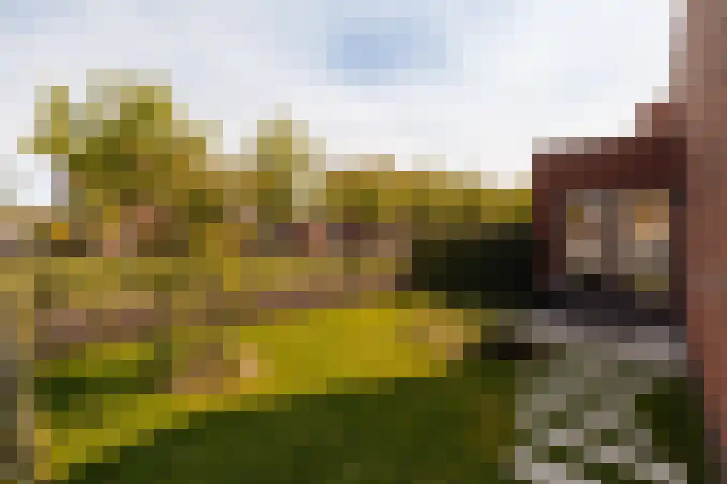 Elzenhagensingel 47 Amsterdam thumbnail 13