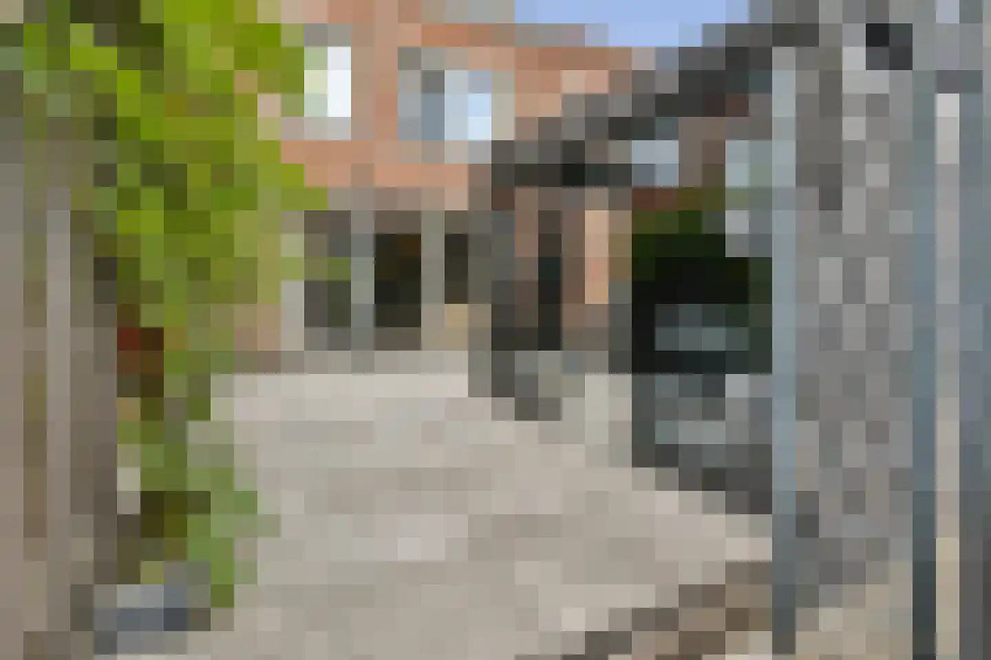 Elzenhagensingel 81 Amsterdam thumbnail 13