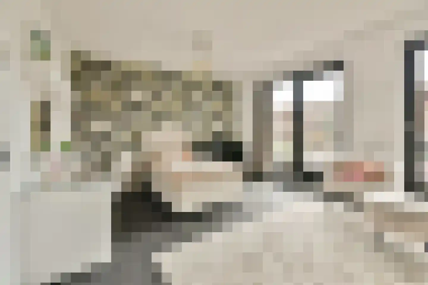 Elzenhagensingel 81 Amsterdam thumbnail 16