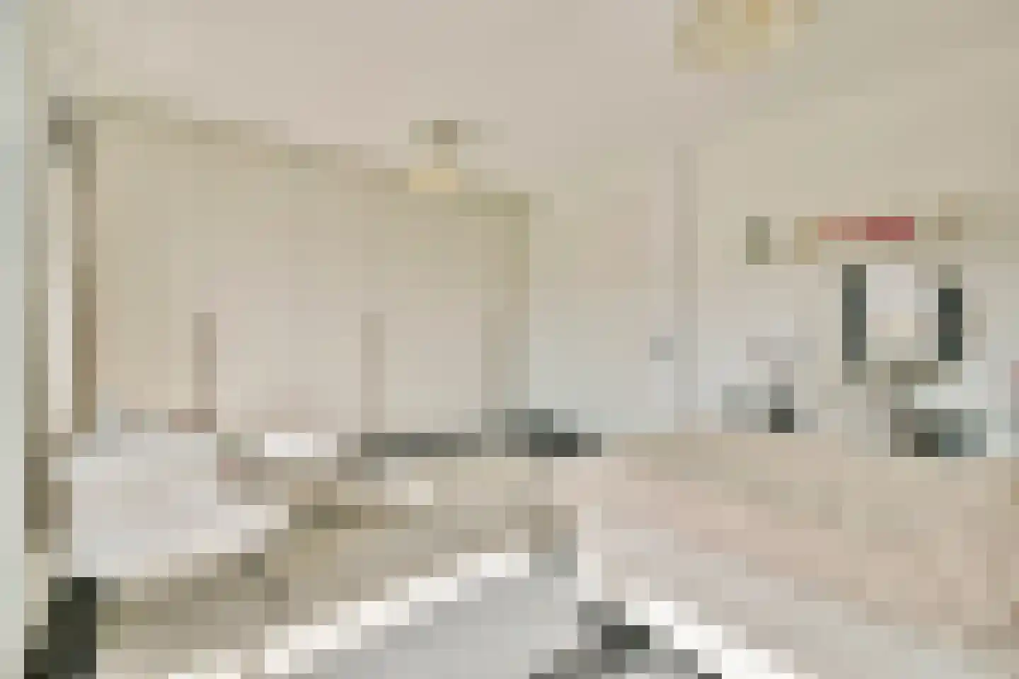 Elzenhagensingel 81 Amsterdam thumbnail 17