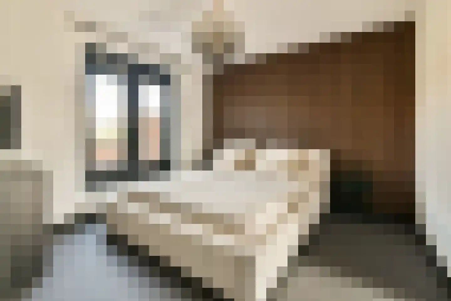 Elzenhagensingel 81 Amsterdam thumbnail 24