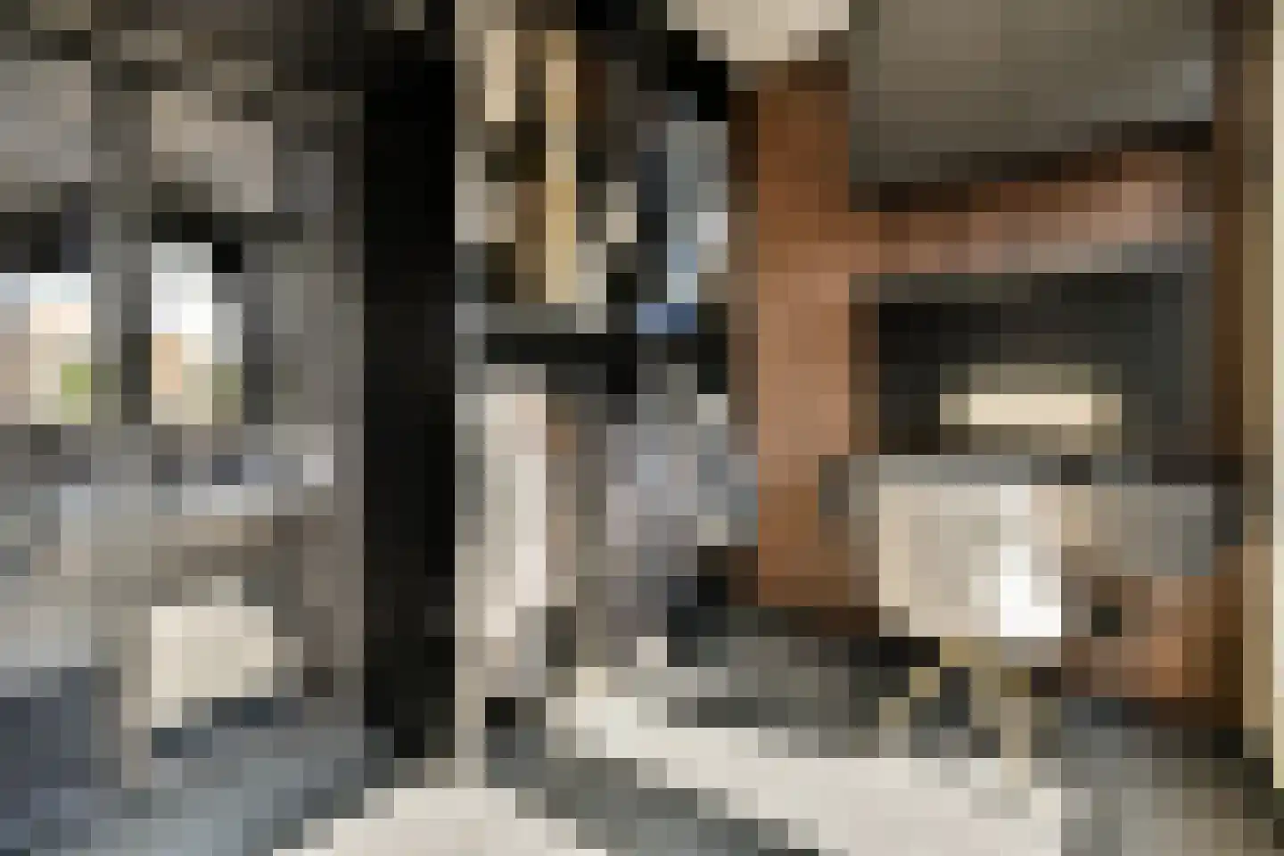Elzenhagensingel 81 Amsterdam thumbnail 28