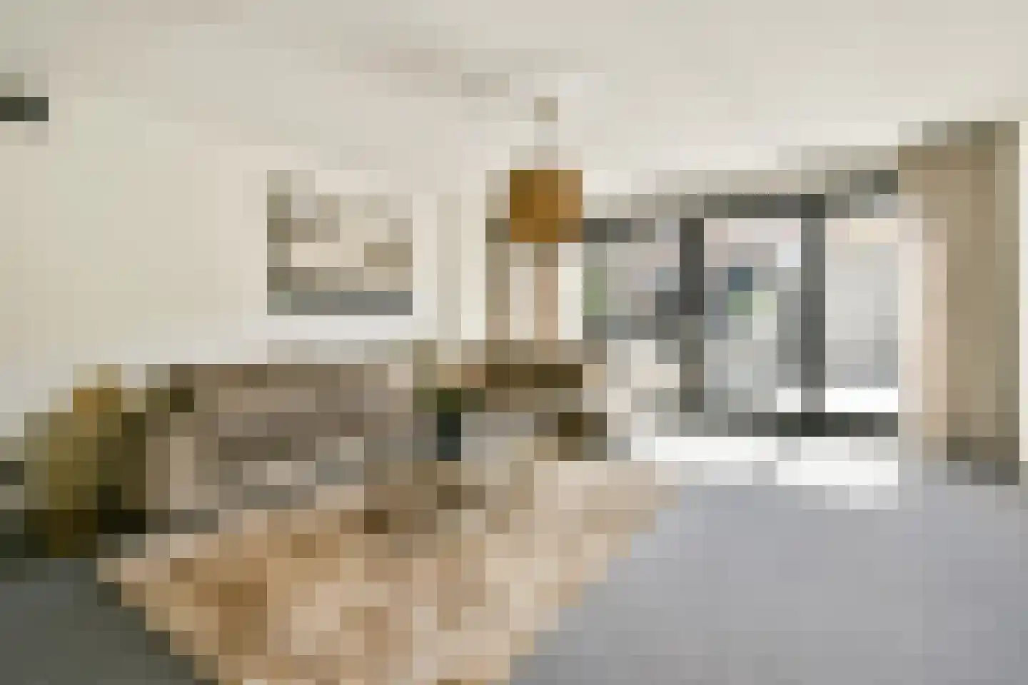 Elzenhagensingel 81 Amsterdam thumbnail 5