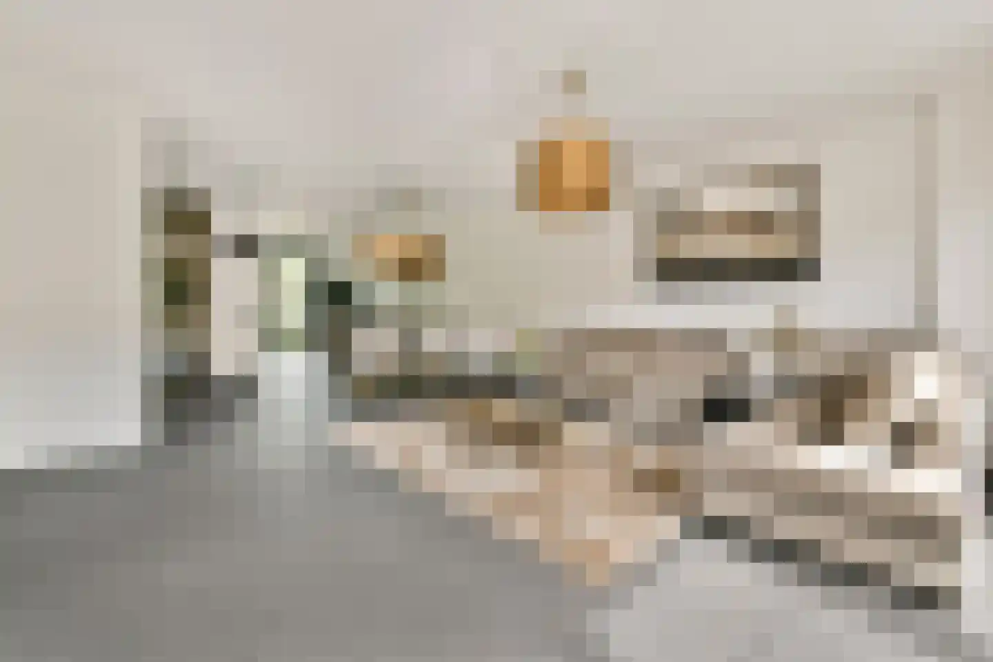 Elzenhagensingel 81 Amsterdam thumbnail 6