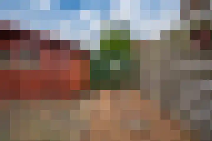 Elzenhof 10 Pannerden thumbnail 18