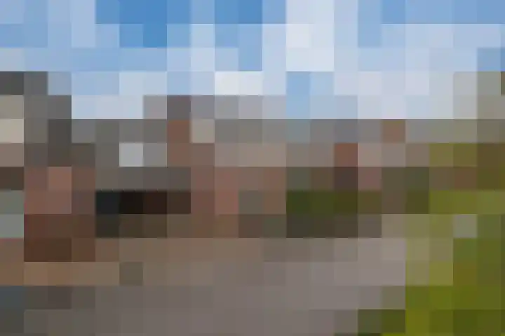 Elzenhof 10 Pannerden thumbnail 5