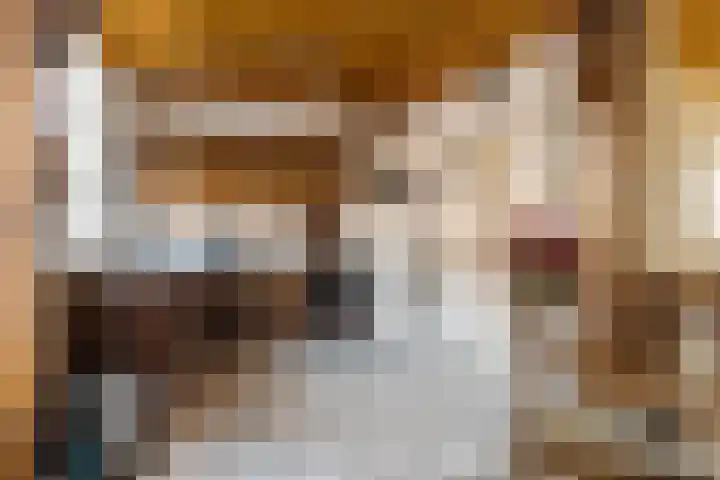 Elzenhof 12 Terheijden thumbnail 12