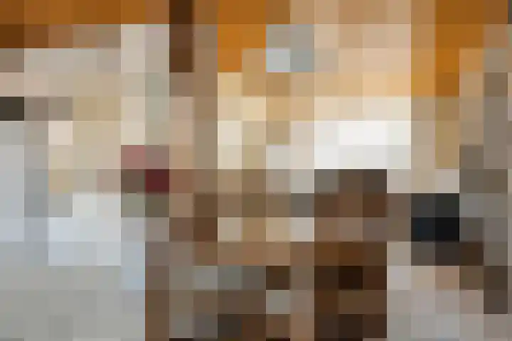 Elzenhof 12 Terheijden thumbnail 13