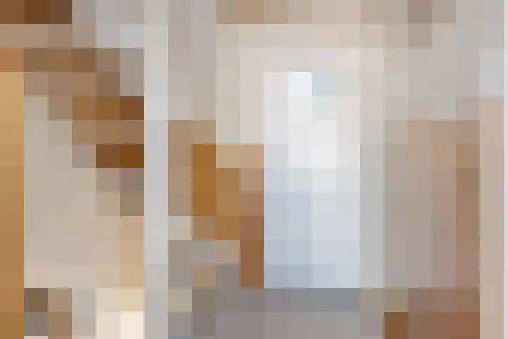 Elzenhof 12 Terheijden thumbnail 15