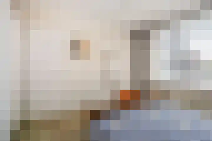 Elzenhof 12 Terheijden thumbnail 22