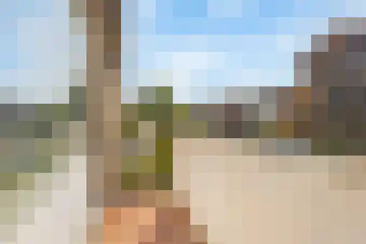 Elzenhof 12 Terheijden thumbnail 24