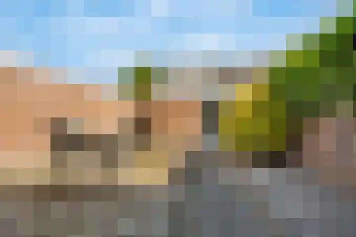 Elzenhof 12 Terheijden thumbnail 28