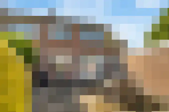 Elzenhof 12 Terheijden thumbnail 29