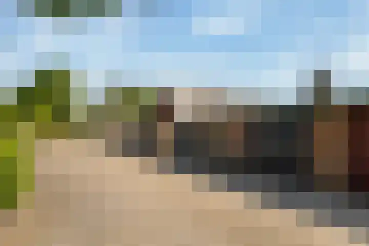 Elzenhof 12 Terheijden thumbnail 32
