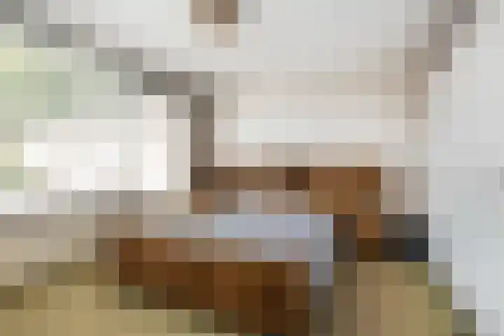 Elzenhof 12 Terheijden thumbnail 4